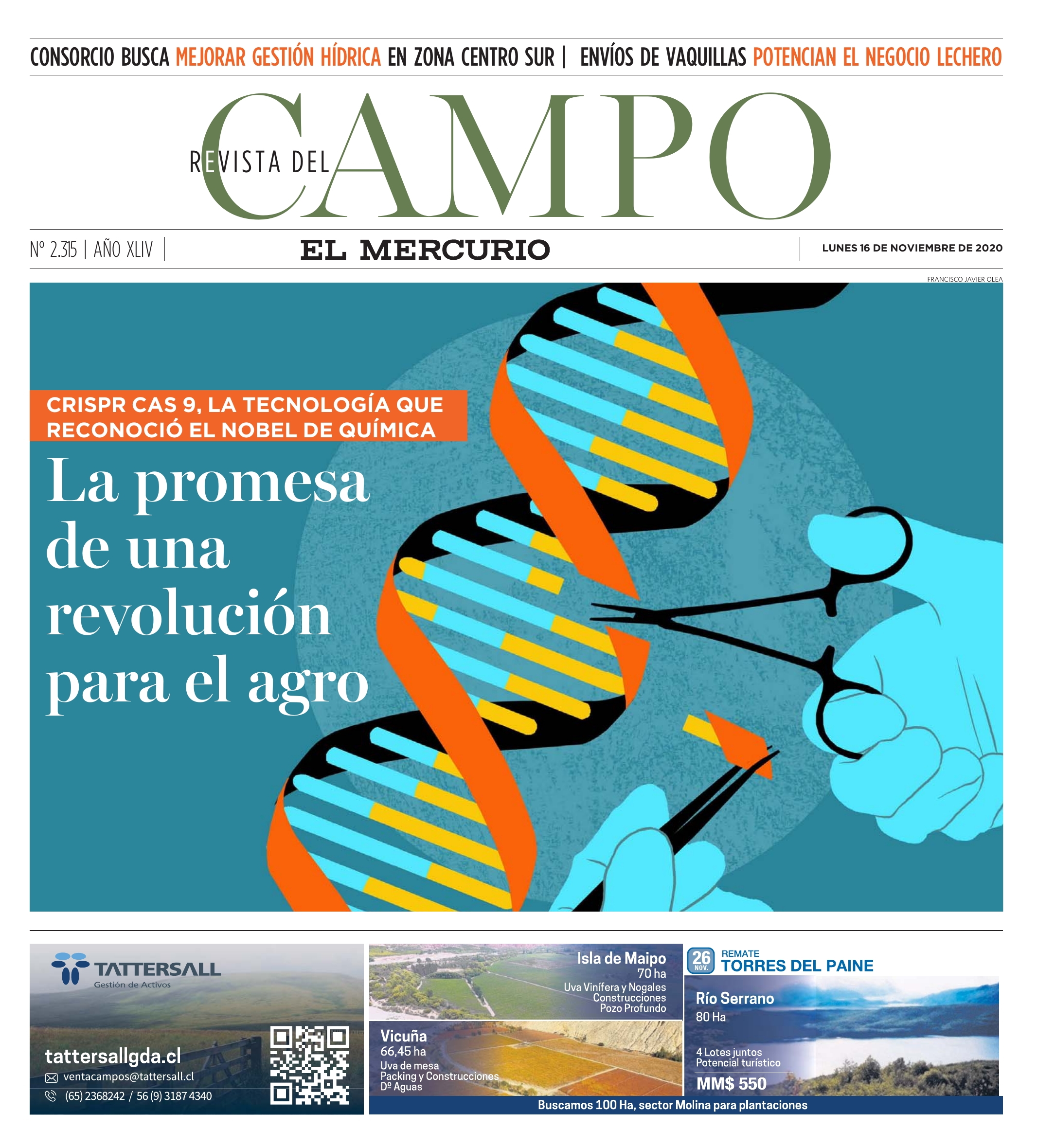 El Mercurio Campo El periódico líder de noticias en Chile