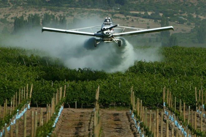 Tres Ejemplos De Innovacion Que Vuelven Al Agro Mas Sustentable