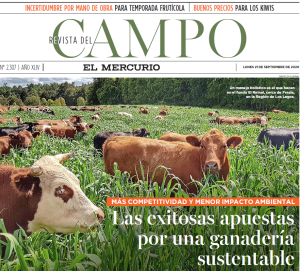 Las exitosas apuestas por una ganadería sustentable | El Mercurio Campo